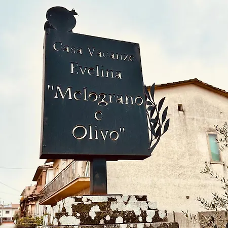 Σπίτι διακοπών L'olivo Di Evelina Bagnoregio
