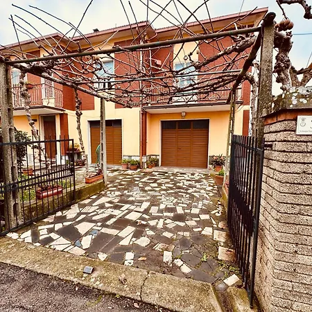 L'olivo Di Evelina Bagnoregio